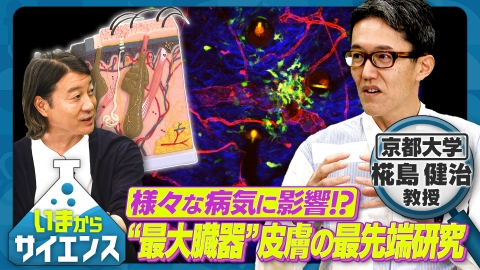 いまからサイエンス 様々な病気に影響！？“最大臓器”皮膚の最先端研究