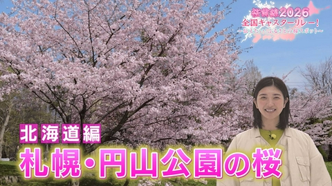 桜前線2026 全国キャスターリレー！ ～伝えたい！ふるさとの桜スポット～ 北海道編「札幌・円山公園の桜」