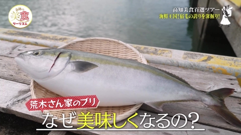 ネイチャーワールド高知　奇跡の美食ツーリズム #25
