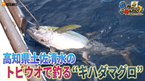 魚が食べたい！ ～地魚さがして3000港～ 四国の最南端でキハダマグロを手釣り!?