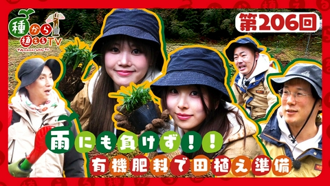 種から植えるTV 第206回 GPP RINKA、MOMOKA＆ザ・マミィ 大パニックの泥んこ作業!?有機肥料を使った「こじ米プロジェクト」！