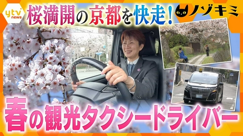 厳選！ytvニュース特集 桜満開の京都！観光タクシーの名物ドライバー、共に楽しむ “おもてなし”の裏側【かんさい情報ネットten.　ノゾキミ】