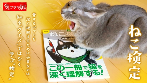 気づきの扉 ねこ検定