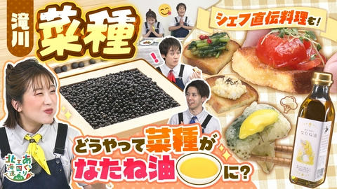 あぐり王国北海道NEXT 作付面積日本一を誇る滝川市の菜種に注目！