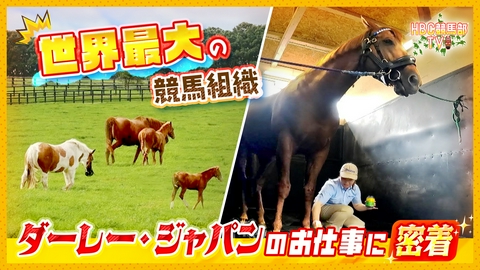 ＨＢＣ競馬部ＴＶ 「世界最高峰の競馬組織」に密着！