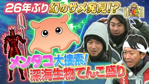 ザ！鉄腕！DASH!! 学会も驚く新発見!?江の島の深海で幻のサメ発見なるか!?
