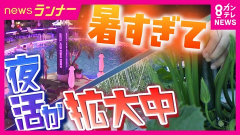 newsランナー 暑すぎて「夜活」が注目！関西の“夜活スポット”を取材　ナイトプール・ナイト水族館・ナイトファーム　熱帯夜のエアコンの“賢い使い方”もプロが解説