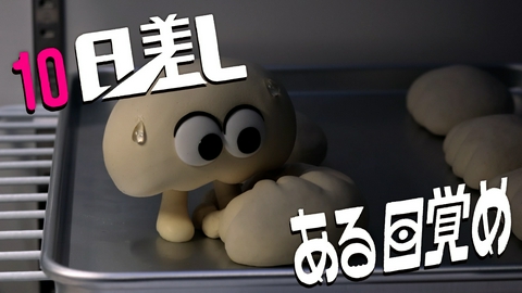 パンの赤ちゃん 10 日差し ／ ある目覚め