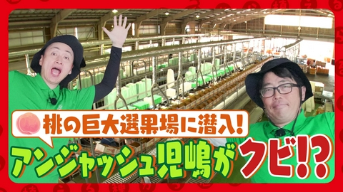 種から植えるTV 第227回 鈴木拓 福島桃の巨大選果工場でお手伝い＆絶品「桃パスタ」実食