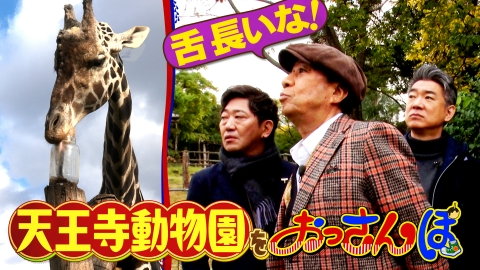 大阪おっさんぽ 黒田・橋下・渡辺正行が天王寺周辺をおっさんぽ！