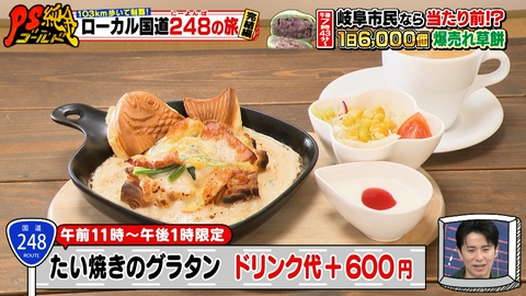 PS純金 103km歩いて制覇！ローカル国道248の旅　完結編