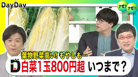 DayDay. 葉物野菜が価格高騰今お買い得な野菜とは？【ナゼ？ナゼ？】