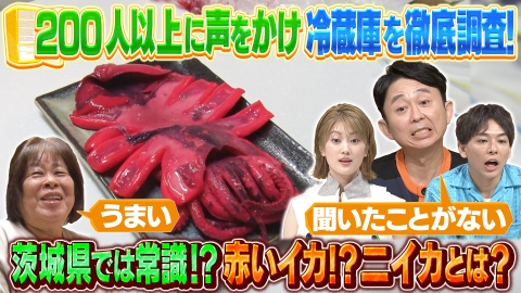 有吉の深掘り大調査 【冷蔵庫の変】新企画！冷蔵庫の変！