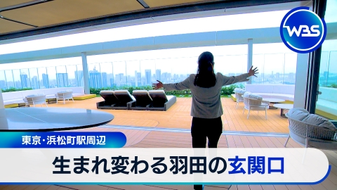WBS（ワールドビジネスサテライト） 6月12日(木)放送分 羽田