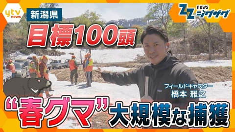 サタデーLIVE ニュース ジグザグ 【“春グマ”各地に出没】新潟・十日町市で“大規模捕獲”目標は「１００頭」
