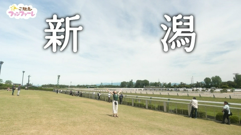 ご馳走ファンファーレ 新潟競馬場の人気店でいただく絶品牛すじカレー