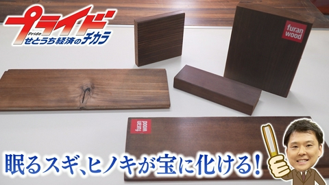 プライド　せとうち経済のチカラ 眠るスギ、ヒノキが宝に化ける！（フランウッド　岡山県津山市）
