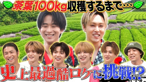 ファンタスティックPARK 静岡のライブ会場で無料配布!?茶畑で茶摘みをしてオリジナルグッズを開発！
