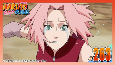 NARUTO-ナルト- 疾風伝 2008年放送 第二百六十三話 サクラの涙｜アニメ
