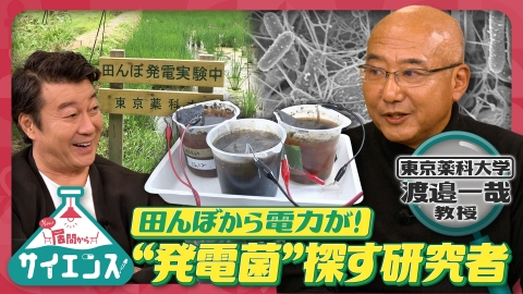 居間からサイエンス 田んぼから電力が！“発電菌”を探す研究者　東京薬科大学 渡邉一哉教授