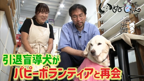 いぬじかん 引退した盲導犬のセカンドライフ！愛犬の病気に立ち向かう家族の物語