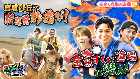 あっちこっちAぇ! 6月7日(土)放送分 奈良の正門・末澤・小島は金魚