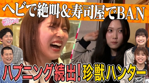 サクラミーツ #148【スゴイじゃん】谷口＆中嶋どうなる!?珍獣ハンター完結編！meets コットン