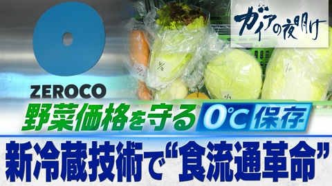 ガイアの夜明け 新冷蔵技術で“食流通革命”…野菜価格を守る0℃保存