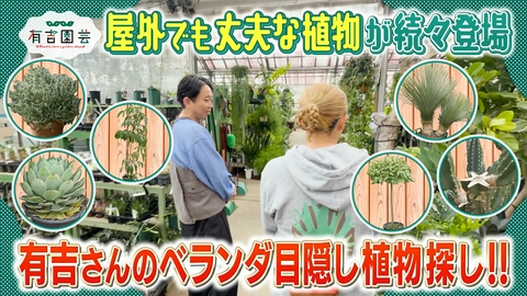 夢が咲く 有吉園芸～Road to start a garden shop～ 有吉さんのベランダ用植物探し