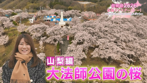 桜前線2026 全国キャスターリレー！ ～伝えたい！ふるさとの桜スポット～ 山梨編「大法師公園の桜」