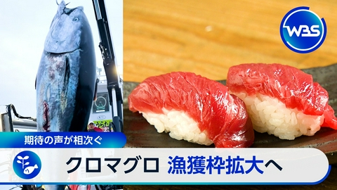 ＷＢＳ（ワールドビジネスサテライト） ▼マグロ漁獲枠拡大で恩恵は▼千葉、冠水車両への対応本格化