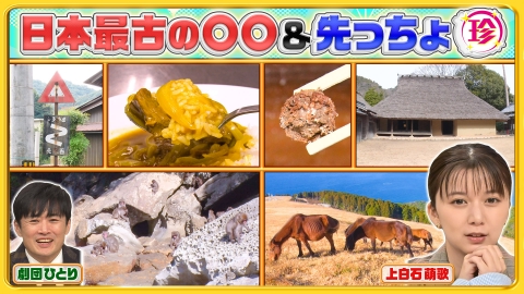 ナニコレ珍百景 上白石萌歌も知らない鹿児島・離島の珍伝統＆半島の先っちょ大調査＆日本最古の〇〇珍百景