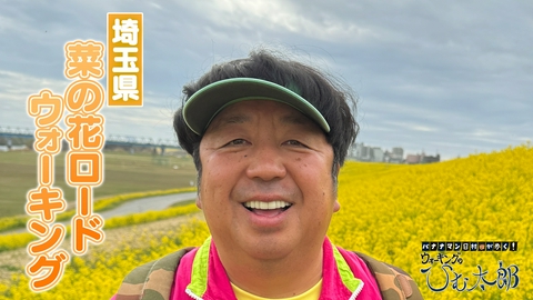 バナナマン日村が歩く！ ウォーキングのひむ太郎 菜の花ロードを歩こうコース「埼玉県吉川市～三郷市」をウォーキング