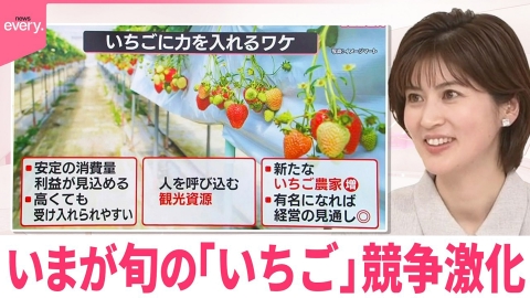 日テレNEWSセレクト 【なるほどッ！】いまが旬の「いちご」競争が激化 うれしい効果も