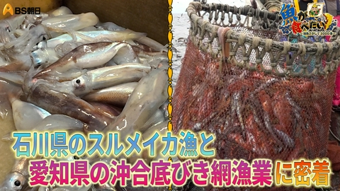 魚が食べたい！ ～地魚さがして3000港～ シケDと不運D！天候が良すぎて撮りすぎてしまった2つの漁！