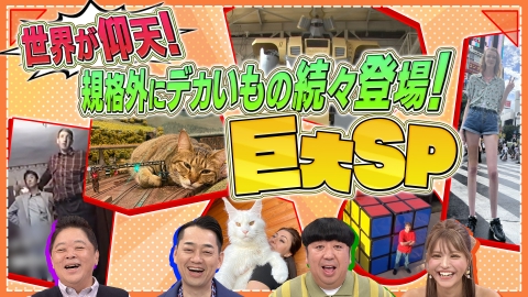 世界の何だコレ！？ミステリー 9月11日(水)放送分 米国同時多発テロ