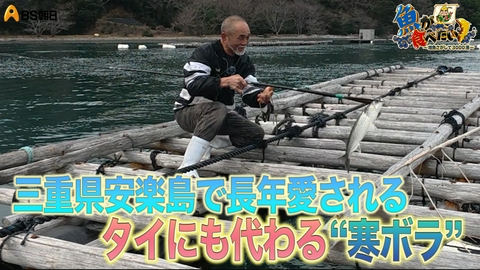 魚が食べたい！ ～地魚さがして3000港～ お魚博士とゴールデントライアングルで絶品魚調査！