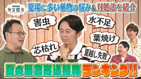 夢が咲く 有吉園芸～Road to start a garden shop～ 夏場の緊急搬送植物ランキング＆有吉オモトに異変発生!?