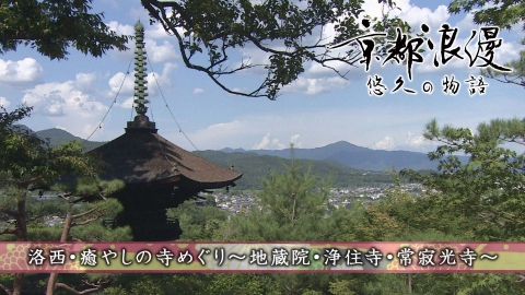 京都浪漫　悠久の物語 第177回「洛西・癒やしの寺めぐり～地蔵院・浄住寺・常寂光寺～」