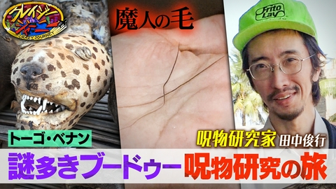 クレイジージャーニー 神秘…うごめくブードゥの“魔人の毛”★呪術の力で戦う“呪術相撲”in西アフリカ