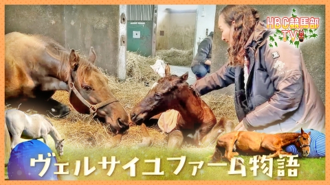 ＨＢＣ競馬部ＴＶ ヴェルサイユファーム物語
