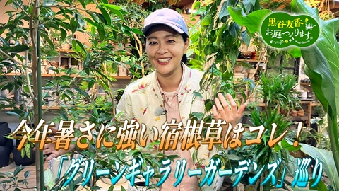 黒谷友香、お庭つくります 第68回「最新グリーン事情～暑さに強い花苗と庭づくり雑貨を巡る～」