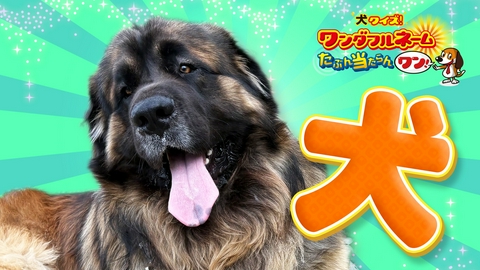 発見！仰天！！プレミアもん！！！ 土曜はダメよ！ オーナーこだわり㊙物件「わ～！きゃ～！と遊べる家」
