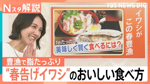 TBS NEWS DIG Powered by JNN “春を告げる”イワシが日本海側で豊漁に！【Nスタ】
