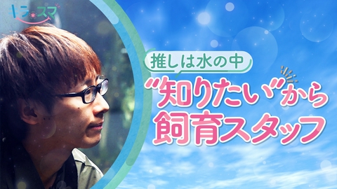キラスマ 京都水族館で飼育スタッフを務める　石川薫さん