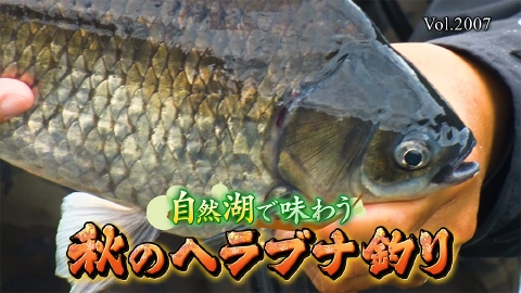THEフィッシング 自然美を味わう 秋のヘラブナ釣り