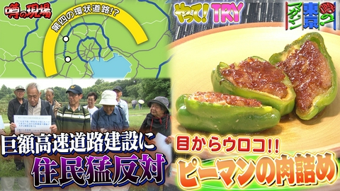 噂の！東京マガジン 巨額！高速道路計画に疑問の声