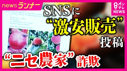 newsランナー 実在する農園の名を悪用した「ニセ農家」に注意「不自然に安い価格は詐欺を疑って」　収穫期を迎えた旬のフルーツが犯罪の標的に
