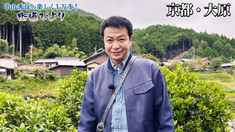 中山秀征の楽しく１万歩！街道びより 第7回「京都・大原で絶品鯖料理と紅葉を堪能！」