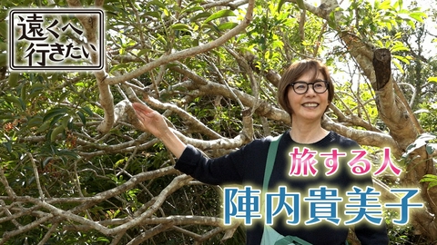 遠くへ行きたい 【陣内貴美子が八丈島へ】絶品しいたけに島寿司＆癒やしの植物